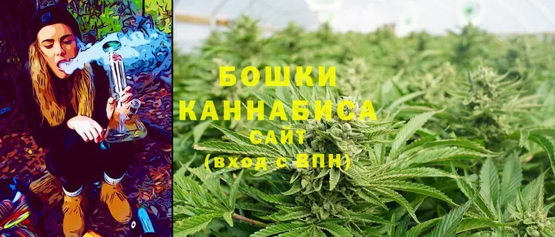 Конопля White Widow  darknet наркотические препараты  Бобров  гидра ссылка 